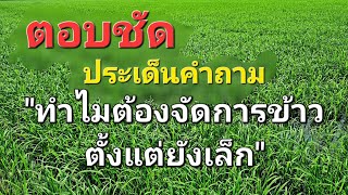 เคลียร์ ประเด็นคำถาม 