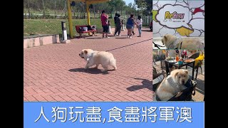 Chow Chow |人狗好去處 | 將軍澳環保大道寵物公園| WAN PO ROAD PET GARDEN ｜🐶狗狗友善商場|狗狗友善餐廳|人狗共餐| DOG FRIENDLY RESTAURANT