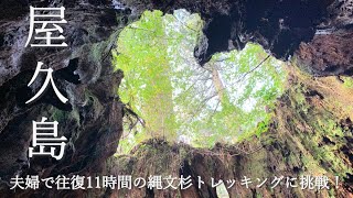 〔旅行Vlog〕屋久島2泊3日 夫婦で往復11時間の縄文杉トレッキングに挑戦！