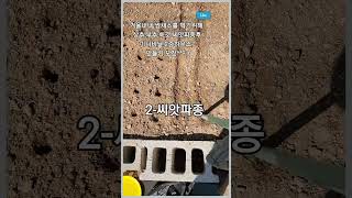 2-씨앗파종 겨울내내 쌈채소를 먹기위해 상추,부추,쑥갓 씨앗파종후미니비닐 2중하우스 만들기 도전^^~