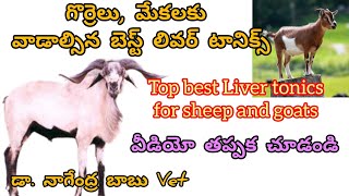 గొర్రెలు,మేకలకు వాడాల్సిన బెస్ట్ లివర్ టానిక్స్/best Liver tonic for sheep and goats#livertonic