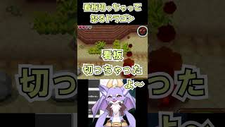 ゼル伝で間違えて看板を切って怒るドラゴン #ゼルダの伝説