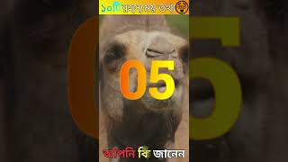 উটের আশ্চর্যজনক ক্ষমতা #camel   #camelfacts  #উট   #facts #animals #discovery #amazingfacts