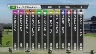 アイビスサマーダッシュに大逃げで出してみた。出遅れ！？ スターホースポケット