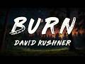 David Kushner - Burn (Lyrics)