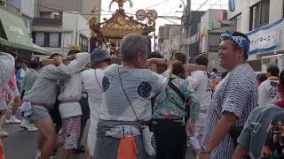 羽田神社夏季例大祭「羽田まつり」　町内神輿連合渡御　ヨコタ担ぎ　2024/07/28  d20