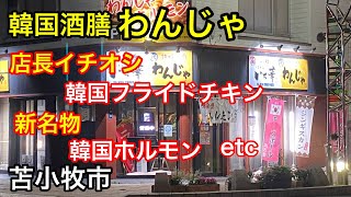 【閉店しました】新名物の激ウマ韓国ホルモンと冷えたビールで1杯やって来ました！(北海道苫小牧市)