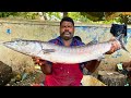 KASIMEDU 🔥 SPEED SELVAM | BIG SIZE WHITE SHEELA FISH CUTTING VIDEO | IN KASIMEDU | FF CUTTING 🔪