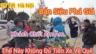 29 Tết Hà Nội Mai Bình Định Siêu Bán Phá Giá Lỗ Vốn Để Kịp Về Quê Ăn Tết Chợ Phiên Tết 2025