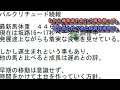 【一口馬主】底辺一口邁進中第六十七話～アートクリティック成長を促すべく、5月の川崎開催を目標に切り替え！＆パルクリチュード順調に成長中！！ 今は爪を研ぐ ～【キャロットクラブ】