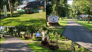 A small glimpse of school campus# Army Public School Jorhat# old memories refreshed# Assamese vlog