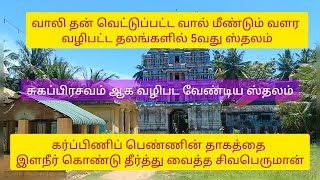 #அனுமன் தான் செய்த ஒரு சில பாவங்கள் நீங்க வழிபட்ட ஸ்தலம் #தயாநிதீஸ்வரர் கோயில்