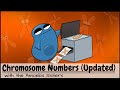 Chromosome Numbers Before and After Mitosis and Meiosis (UPDATED)