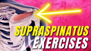 13 Supraspinatus Rotator Cuff Tear Stretches & Exercises (Beginner to Advanced)