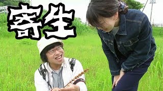 第48回 野田市総合公園を散策④～寄生するヤセウツボ～【野田市】