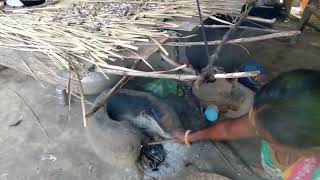 Dried fish making(small) ᱠᱟ.ᱴᱤᱡ ᱥᱩᱠᱟ. ᱦᱟ.ᱠᱩ