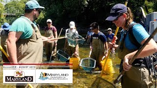 AccessDNR August 2019 - Maryland Department of Natural Resources