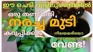 😱 ഒരു തണ്ട് വേപ്പില മതി ഒരു മണിക്കൂർ കൊണ്ട് എത്ര നരച്ച മുടിയും കട്ട കറുപ്പാക്കാം💯ഞാൻ ഇങ്ങനെ ആണ്.