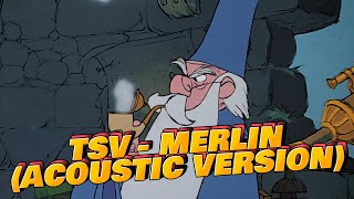 TSV - Merlin (Acoustic Version) Parodie