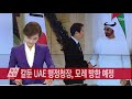 단독 칼둔 uae 행정청장 모레 방한...임종석 실장 등 면담할 듯 ytn