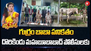 Fake Gurram Baba : గుర్రం బాబా పనికతం | Mahabubabad District | Once More | 6TV Digital