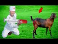 Must Watch Top New Funniest Comedy Video 2024Viral Injection Wali Comedy Video E 306 B @FamilyFunTv1