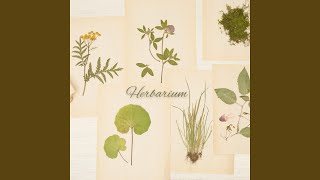 Herbarium