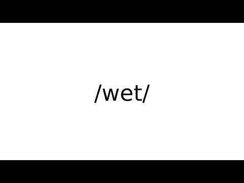 Is Wet an adjective?