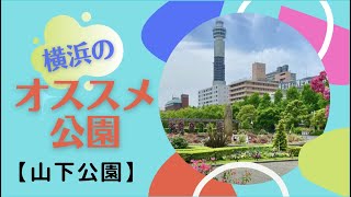 横浜のオススメ公園　山下公園