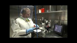 How scientists enter and exit BSL-4 laboratories