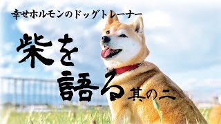 【柴犬の秘密】幸せホルモンのドッグトレーナーが徹底解説！柴の性格、魅力、飼い方のポイント その②