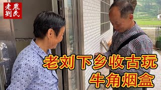 下乡收古董，大妈拿出老货当废品价卖，老刘这回算捡到漏吗【老刘农民博物馆】