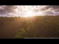 forest sunset unreal engine 5 lumen 4k