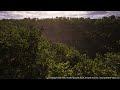 forest sunset unreal engine 5 lumen 4k