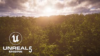 Forest - Sunset - Unreal Engine 5 - Lumen (4K)