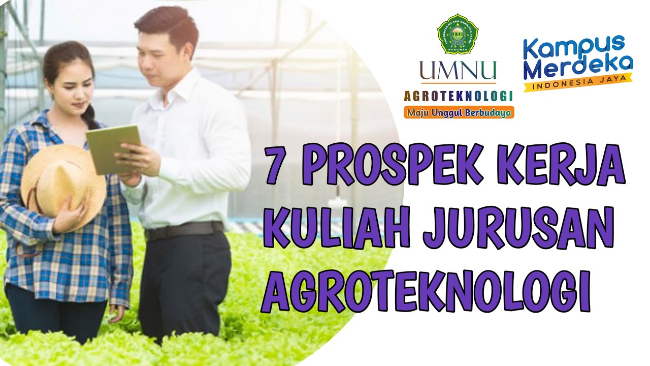 7 Prospek Kerja Kuliah Jurusan Agroteknologi - YouTube