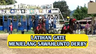 Latihan GATE MENJELANG PACU KUDA SAWAHLUNTO DERBY 2024