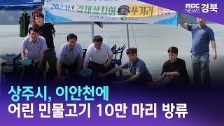 상주시, 이안천에 어린 민물고기 10만 마리 방류/ 안동MBC