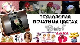 Нанесение изображения (печать) на живые цветы