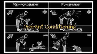 Skinner’s Operant Conditioning: Rewards & Punishments|Learning Lane