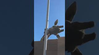 Giraffe licking a light pole