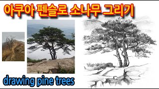 티노씨드로잉 [89강] 산 정상의 나무)산 정상의 나무 그리기drawing pine trees #WithMe#StayHome#집에서함께그림그려요