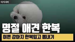 명절! 우리 댕댕이 한복입혀서 뽐내세요~ 애견 한복