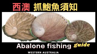 西澳抓鮑魚必備的工具與須知│Abalone fishing guide - what we need to know before we fishing Abalone in WA?(2022/23)