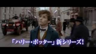 映画『ファンタスティック・ビーストと魔法使いの旅』TV-SPOT（ニュート編）【HD】2016年11月23日公開