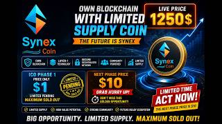 SYNEX Blockchain Opportunity Explained | Community Driven Layer-1 Protocol #synexcoin