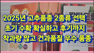 2025년 고추품종 2종류 선택 및 초기 수확량 확실하고 후기까지 착과량 많고 건과품질 우수(농사의신)