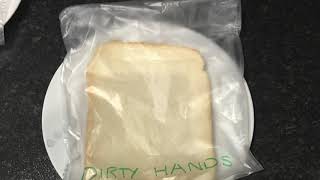 Bacteria on Bread Fair Test Experiment