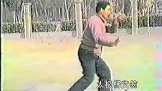 陈照奎北京得意弟子-杨文笏陈氏太极架一路