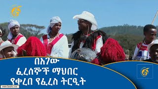 በአገው ፈረሰኞች ማህበር የቀረበ የፈረስ ትርዒት